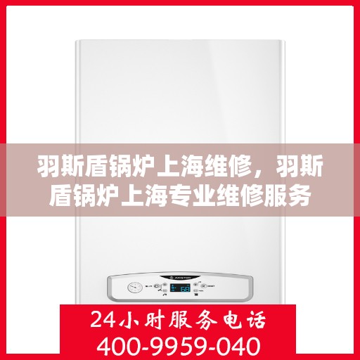 羽斯盾锅炉上海维修，羽斯盾锅炉上海专业维修服务