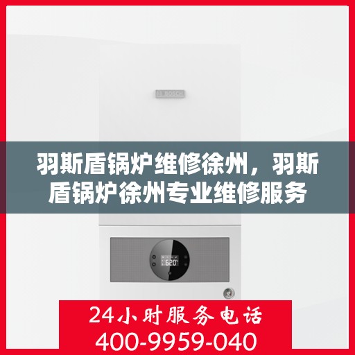 羽斯盾锅炉维修徐州，羽斯盾锅炉徐州专业维修服务