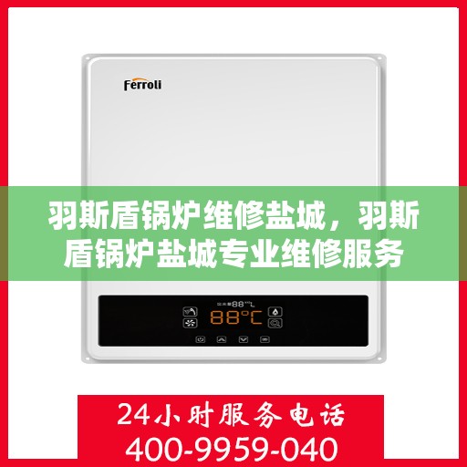 羽斯盾锅炉维修盐城，羽斯盾锅炉盐城专业维修服务