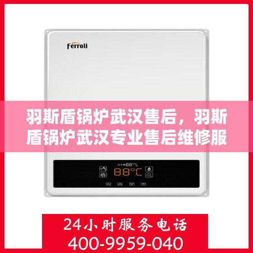 羽斯盾锅炉武汉售后，羽斯盾锅炉武汉专业售后维修服务