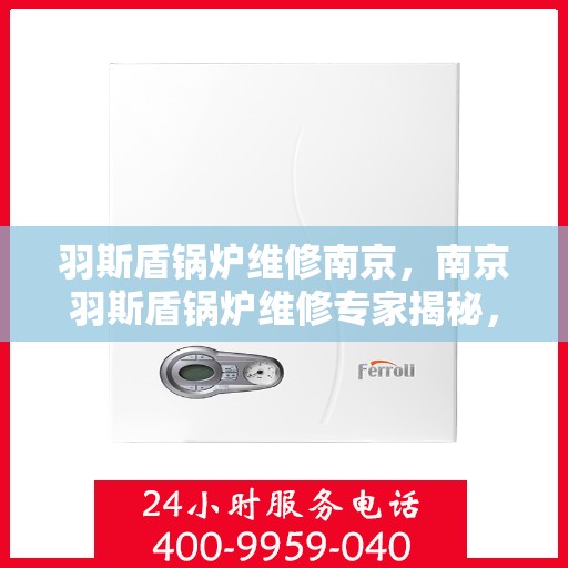 羽斯盾锅炉维修南京，南京羽斯盾锅炉维修专家揭秘，专业维修，保障高效运行！