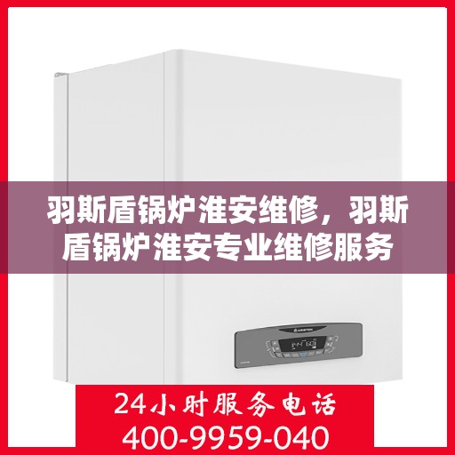 羽斯盾锅炉淮安维修，羽斯盾锅炉淮安专业维修服务