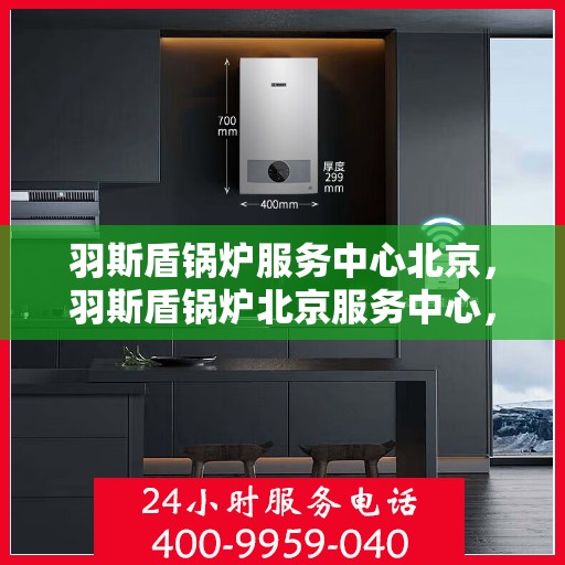 羽斯盾锅炉服务中心北京，羽斯盾锅炉北京服务中心，专业锅炉服务，品质保障之选