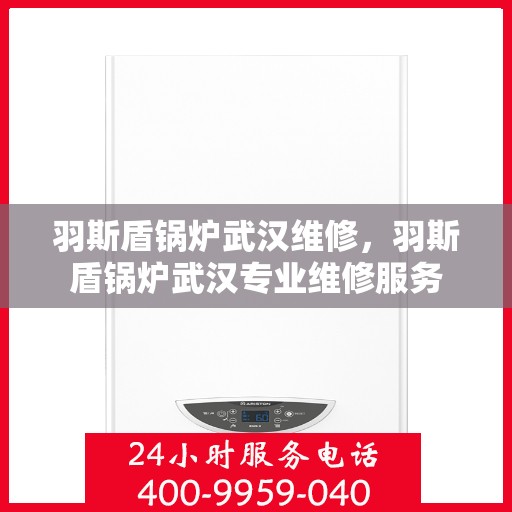 羽斯盾锅炉武汉维修，羽斯盾锅炉武汉专业维修服务