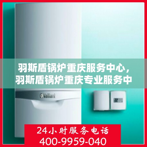 羽斯盾锅炉重庆服务中心，羽斯盾锅炉重庆专业服务中心，高效服务，品质保障