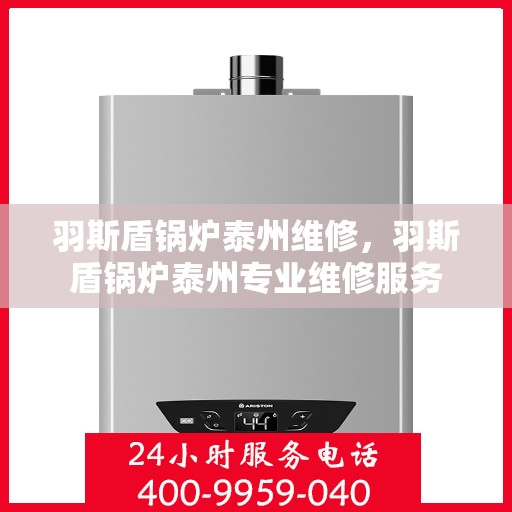 羽斯盾锅炉泰州维修，羽斯盾锅炉泰州专业维修服务