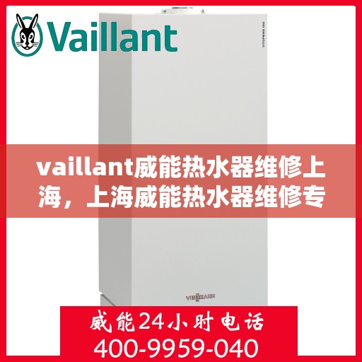 vaillant威能热水器维修上海，上海威能热水器维修专家解析，解决您的热水器问题