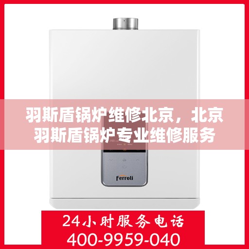 羽斯盾锅炉维修北京，北京羽斯盾锅炉专业维修服务