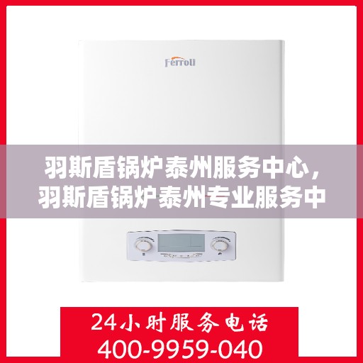 羽斯盾锅炉泰州服务中心，羽斯盾锅炉泰州专业服务中心，一站式服务，品质保障