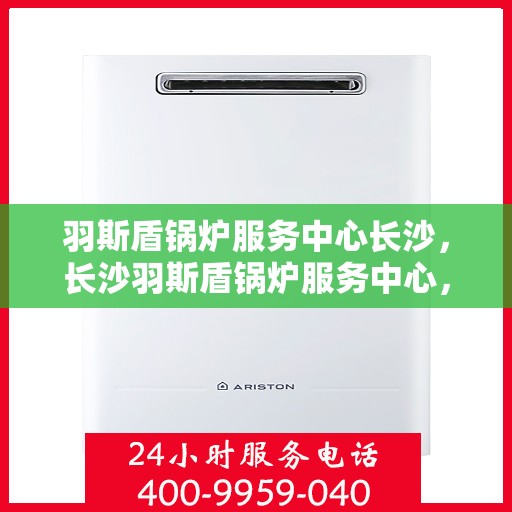 羽斯盾锅炉服务中心长沙，长沙羽斯盾锅炉服务中心，专业维护，安心供热