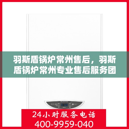 羽斯盾锅炉常州售后，羽斯盾锅炉常州专业售后服务团队，全方位技术支持，无忧维修保障