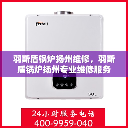 羽斯盾锅炉扬州维修，羽斯盾锅炉扬州专业维修服务
