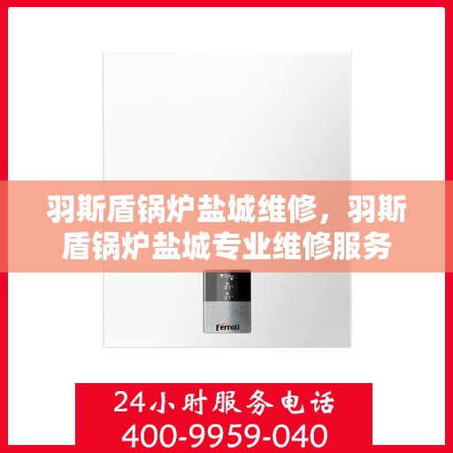 羽斯盾锅炉盐城维修，羽斯盾锅炉盐城专业维修服务