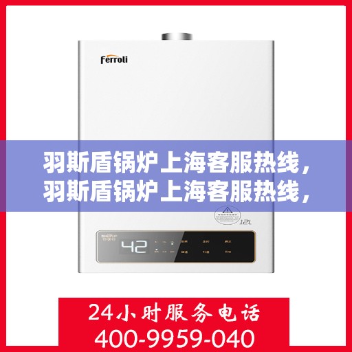 羽斯盾锅炉上海客服热线，羽斯盾锅炉上海客服热线，专业支持与解决方案一站式平台