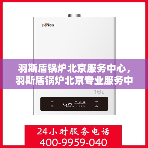 羽斯盾锅炉北京服务中心，羽斯盾锅炉北京专业服务中心，高效服务，品质保障