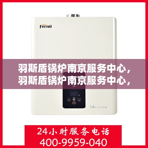 羽斯盾锅炉南京服务中心，羽斯盾锅炉南京服务中心，专业维修与优质服务并行