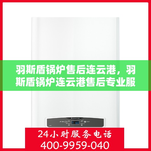 羽斯盾锅炉售后连云港，羽斯盾锅炉连云港售后专业服务