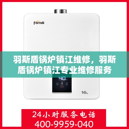 羽斯盾锅炉镇江维修，羽斯盾锅炉镇江专业维修服务