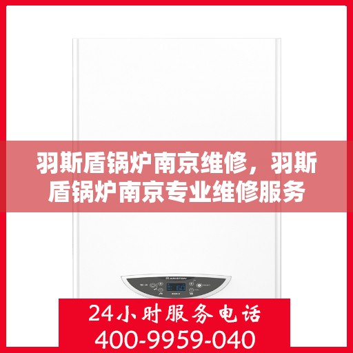 羽斯盾锅炉南京维修，羽斯盾锅炉南京专业维修服务