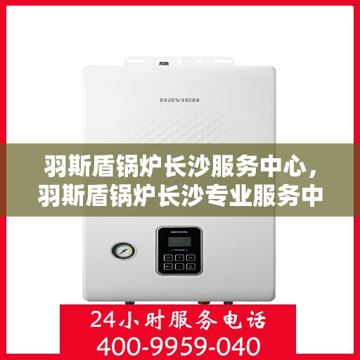 羽斯盾锅炉长沙服务中心，羽斯盾锅炉长沙专业服务中心，一站式服务，高效解决您的锅炉需求