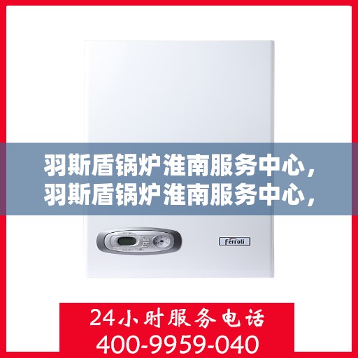 羽斯盾锅炉淮南服务中心，羽斯盾锅炉淮南服务中心，专业维护，高效运行