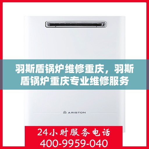 羽斯盾锅炉维修重庆，羽斯盾锅炉重庆专业维修服务