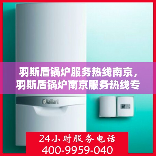 羽斯盾锅炉服务热线南京，羽斯盾锅炉南京服务热线专业解答，贴心保障