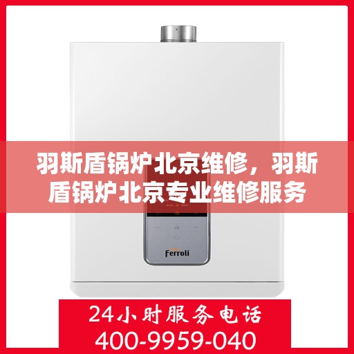 羽斯盾锅炉北京维修，羽斯盾锅炉北京专业维修服务