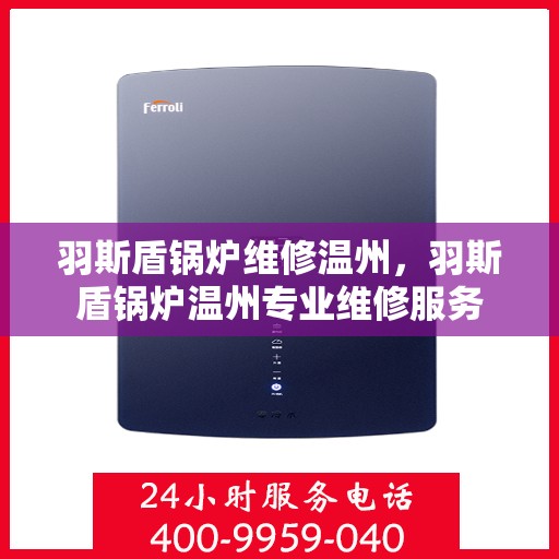 羽斯盾锅炉维修温州，羽斯盾锅炉温州专业维修服务