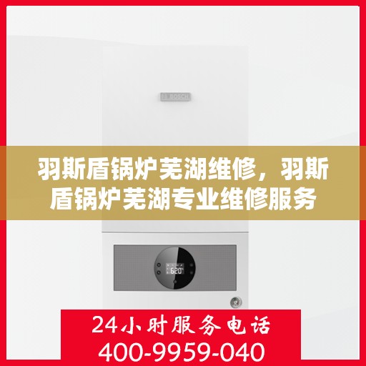 羽斯盾锅炉芜湖维修，羽斯盾锅炉芜湖专业维修服务