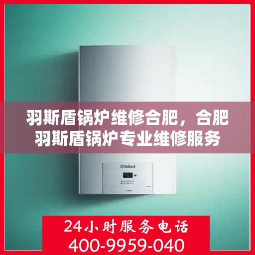 羽斯盾锅炉维修合肥，合肥羽斯盾锅炉专业维修服务