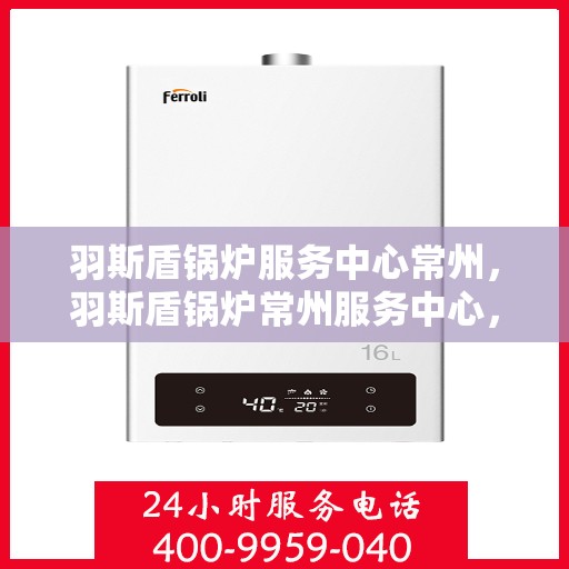 羽斯盾锅炉服务中心常州，羽斯盾锅炉常州服务中心，专业维护，品质保障