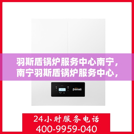 羽斯盾锅炉服务中心南宁，南宁羽斯盾锅炉服务中心，专业维护，品质保障