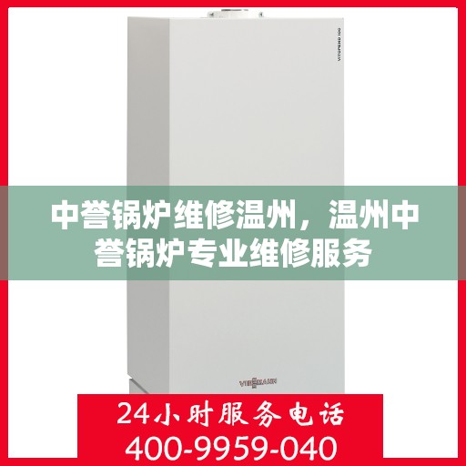 中誉锅炉维修温州，温州中誉锅炉专业维修服务
